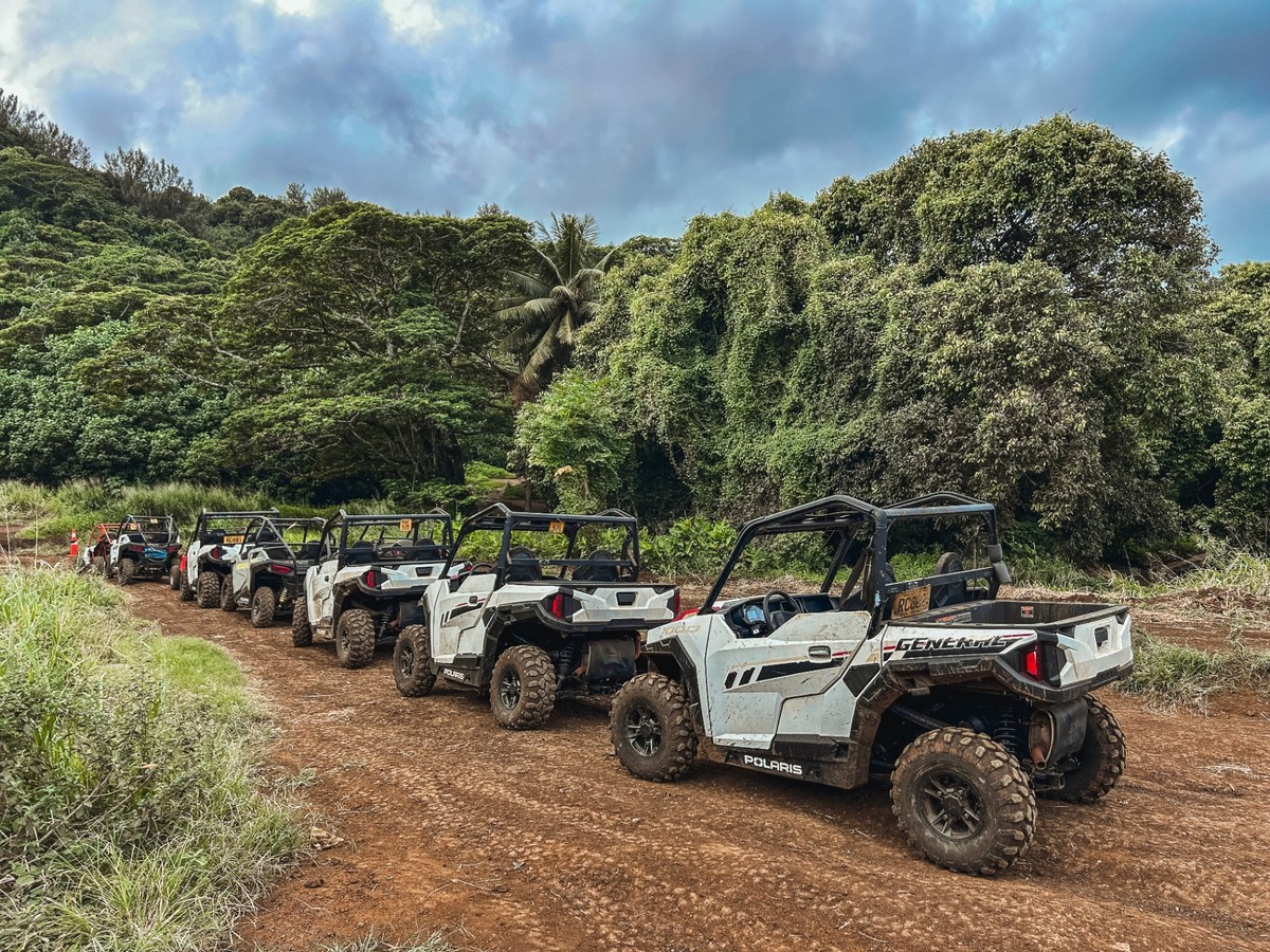 Buggies lined up on a jungle trail in Rarotonga